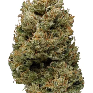 Buy Banana Kush Online in Europe