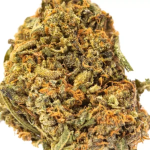 Buy Blue Cheese strain Online Europe