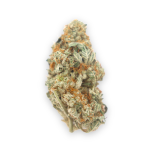 Buy Cookie Dawg in Europe