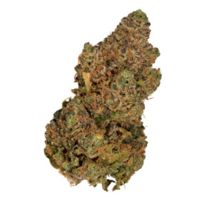 Buy Gelato x Zkittlez Online in Europe
