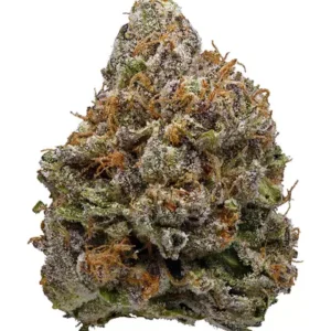 Buy Lavender Kush Strain Online Europe