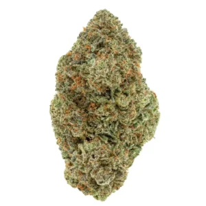 Buy Master OG strain (AAA+) Online Europe