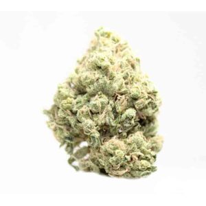 Buy Maui Wowie Strain Online Europe