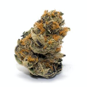 Buy Platinum Cookies Weed Strain Online Europe